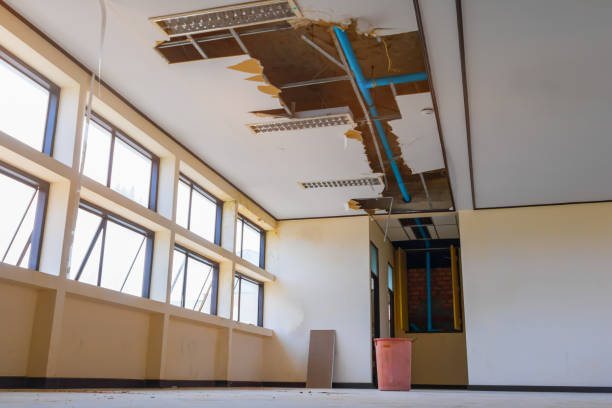 Best Local water damage restoration  in Rogers City, MI