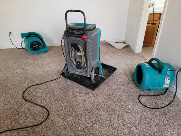 Best 24-hour water damage restoration  in Rogers City, MI