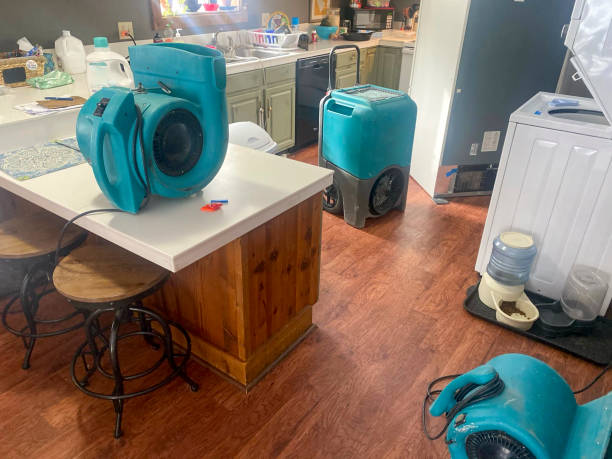 Best Basement water damage restoration  in Rogers City, MI