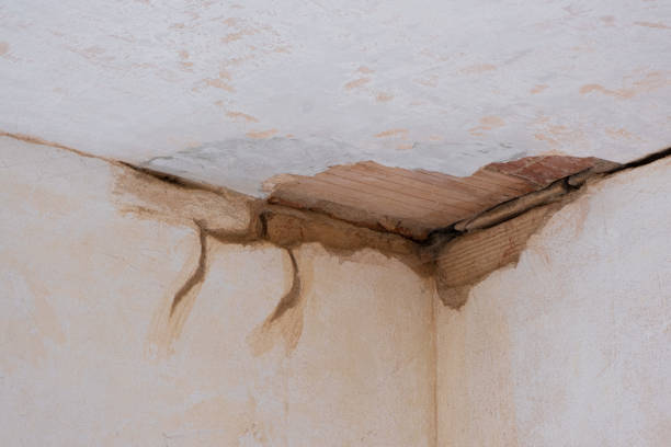 Best 24/7 water damage repair  in Rogers City, MI