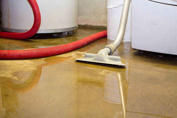 Water damage restoration mold remediation in Rogers City, MI