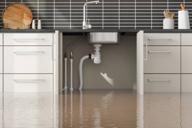 Best Water damage restoration services  in Rogers City, MI