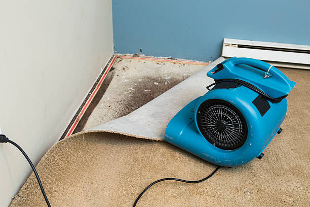 Best Water damage restoration near me  in Rogers City, MI